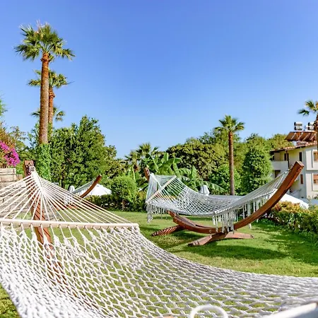 Star Elegance 5* Sidé