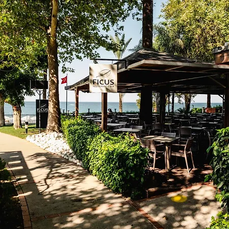 Star Elegance Station touristique